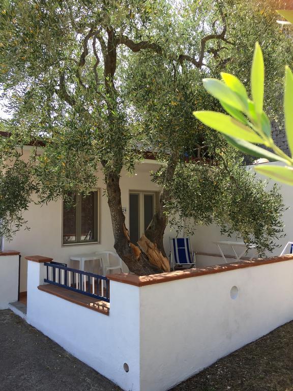 Camping Apartment Vignanotica Mattinata Esterno foto